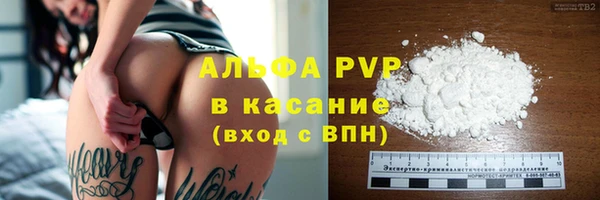 стафф Бородино