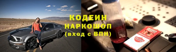 дживик Богородицк
